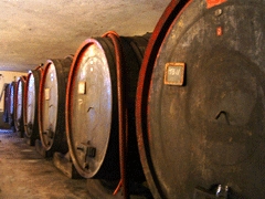 Cantine Mauro Vini