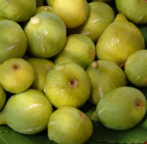Fico bianco del Cilento - Presidio Slow Food.