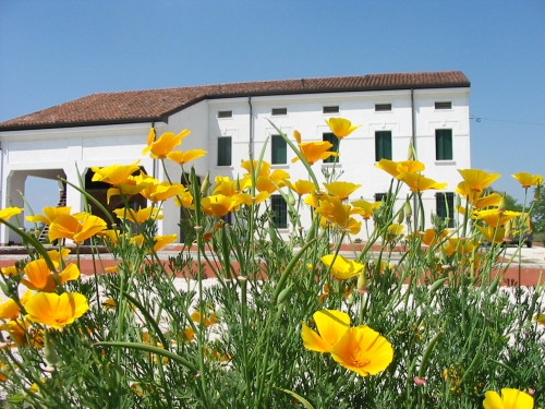Casa Pascolone