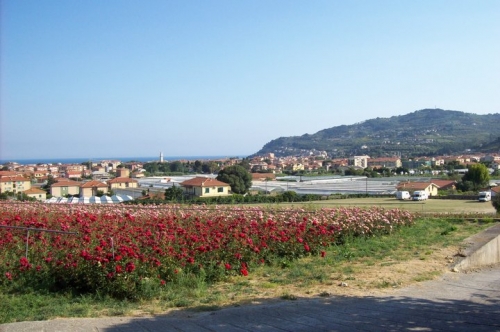 Area Attrezzata per Camper