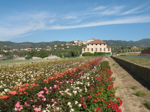 Villaggi turistici, camping, ostelli Imperia