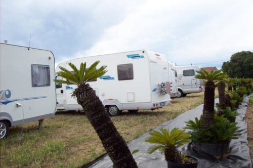 Area Attrezzata Camper 'al Roseto' - Vivaio Rose Patrucco Imperia