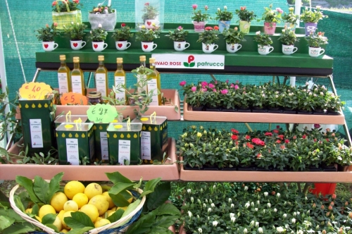 Area Attrezzata Camper 'al Roseto' - Vivaio Rose Patrucco Imperia