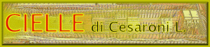 impianti elettrici antiintrusione videocitofonia automazioni