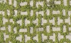 green block