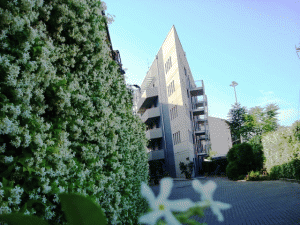 residence arezzo