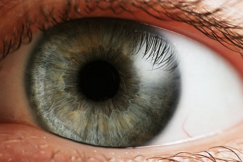 Oculisti Vibo Valentia