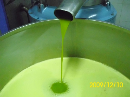 olio extra vergine di oliva dop molise