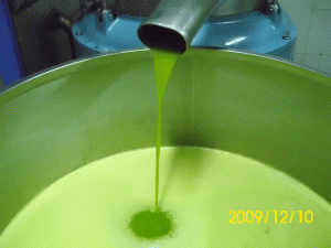 olio extra vergine di oliva