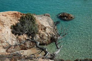 Residence Sardegna