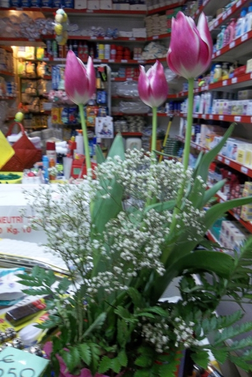 Primavera tra i detersivi!
