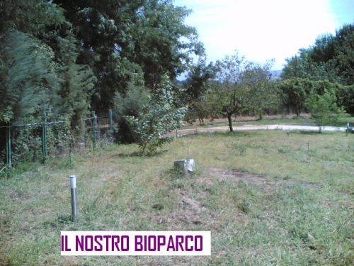 bioparco pontelatone